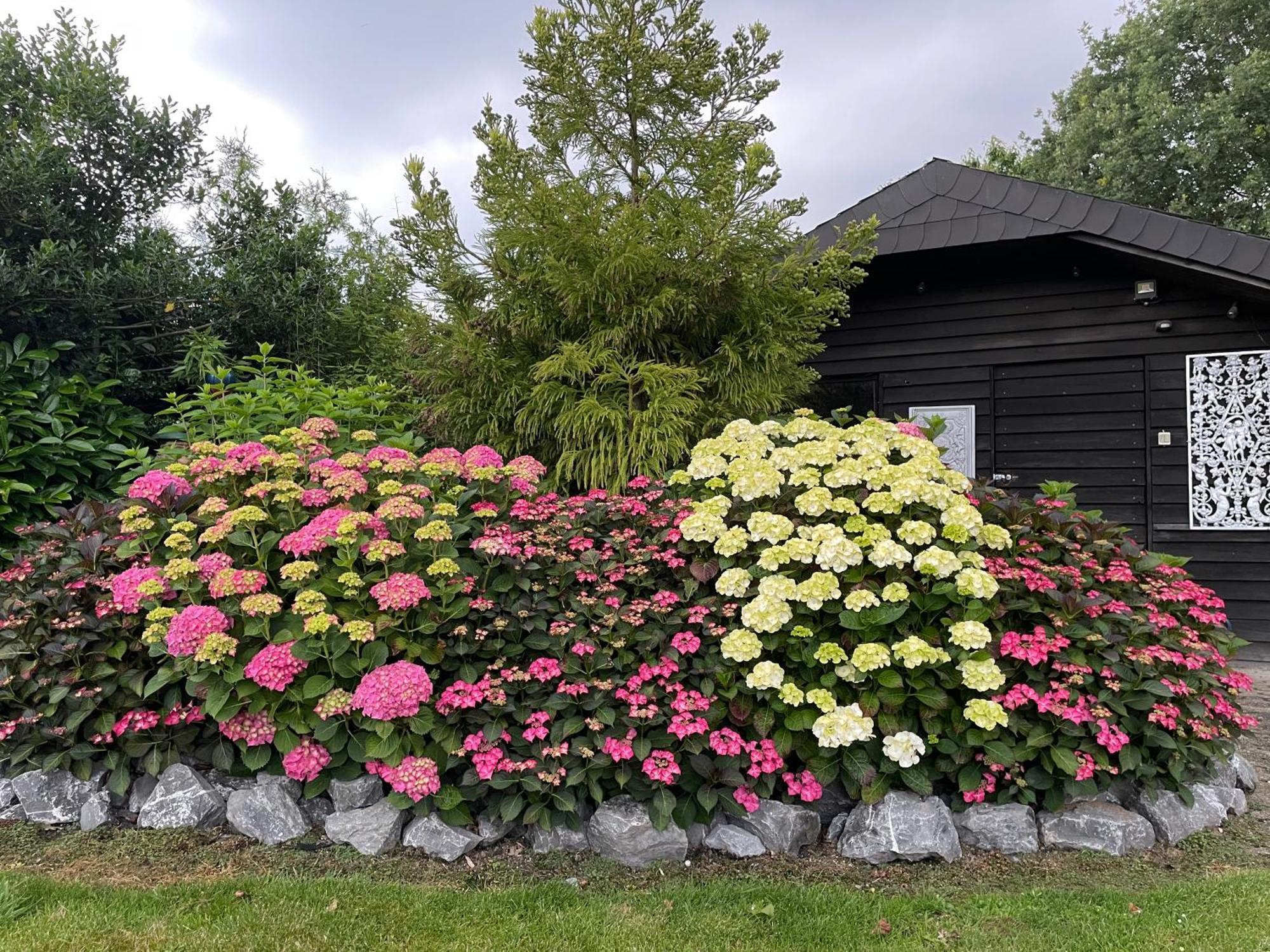 Appartamento Haus Am Damm Kleve  Esterno foto