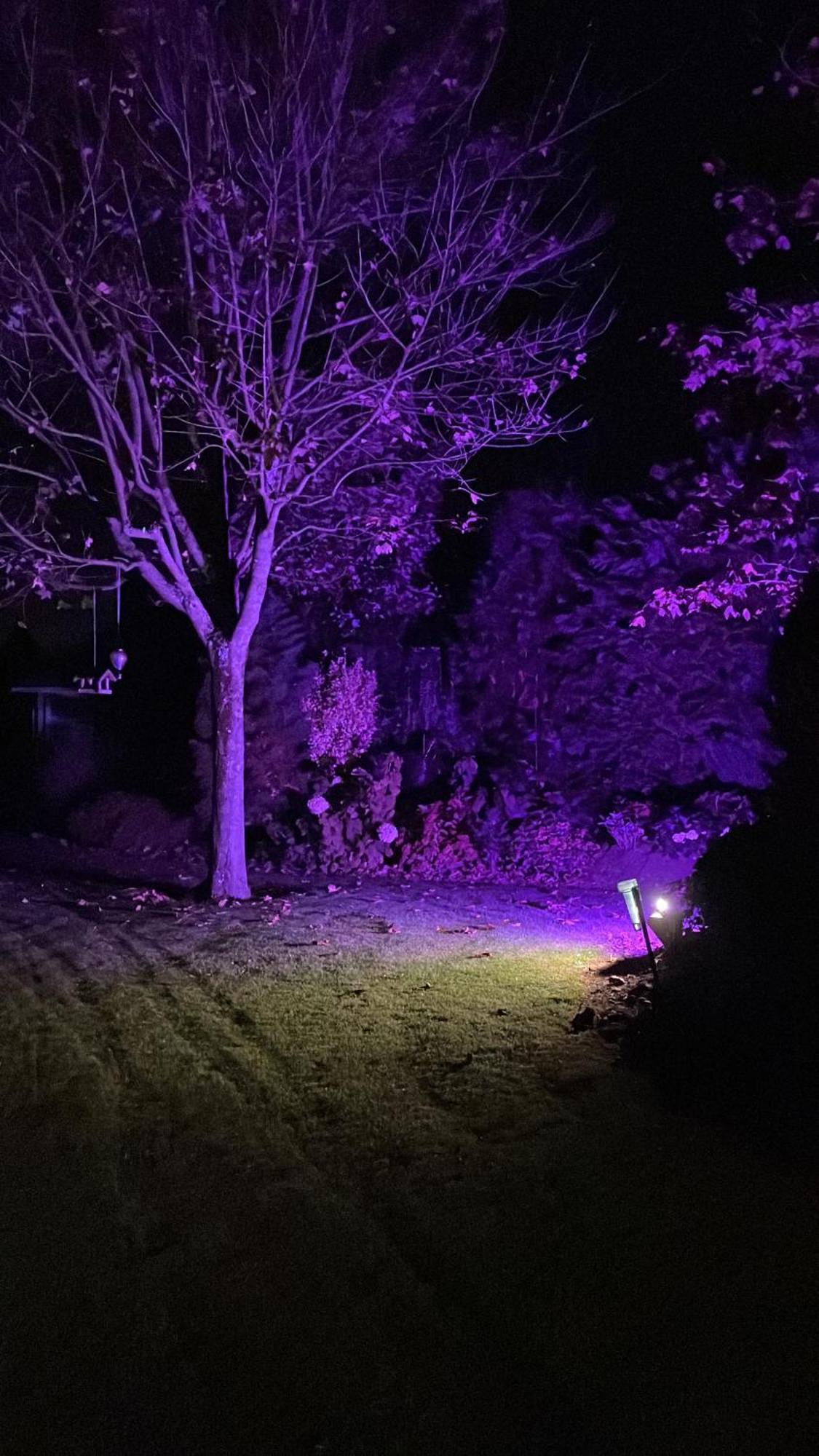 Appartamento Haus Am Damm Kleve  Esterno foto